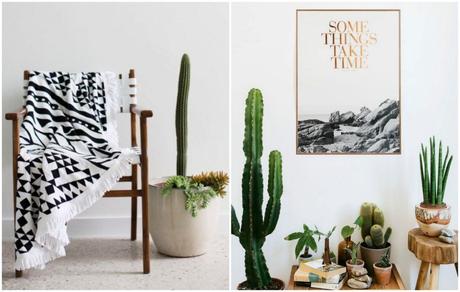 Envie de… de cactus dans ma déco intérieur 2