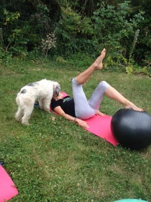 Quelle gym ? Quelle gym ?