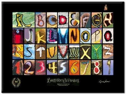 Alphabet sur motifs de papillons Alphabet sur motifs de papillons