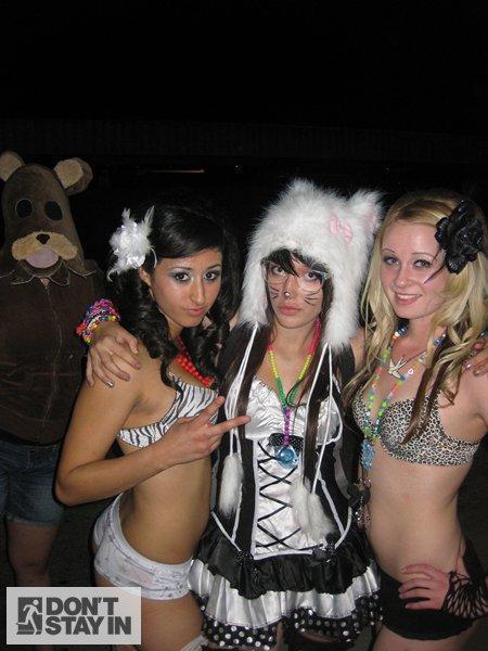 Pedobear, en avant les histoires ! (Chronique Vidéo) 35a2202c-5477-4849-99d3-90596b09452d