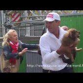 Un chien volé à un SDF par une VIDÉO - La vidéo d'une association de défense des animaux fait scandale