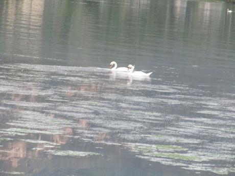 France - A la tombée de la nuit France - A la tombée de la nuit