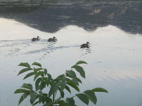 France - A la tombée de la nuit France - A la tombée de la nuit