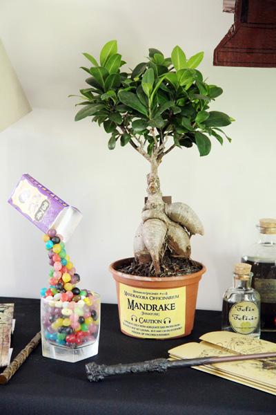 Un anniversaire sur le thème d’Harry Potter anniversaire_harry_potter_3