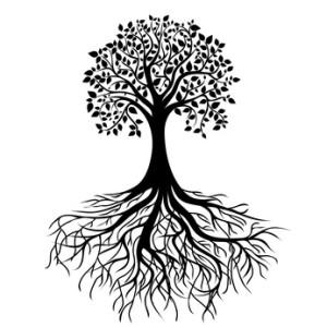 Les français et la politique d’aide au développement de la France whole black tree with roots isolated white background vector