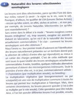 La marmotte, le marronnier et les levures fermentaires. La marmotte, le marronnier et les levures fermentaires.