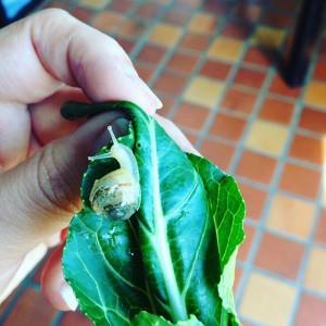 8 Pics a Week #39 bebe_escargot