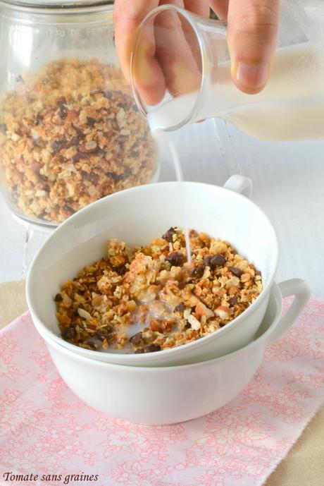 Granola sans gluten {coco-chocolat-amandes} Granola sans gluten {coco-chocolat-amandes}