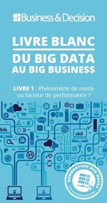 Big Data ou Big Bulle ? - Marketing & Innovation un livre blanc que nous avons écrit et que M.E.L pourrait télécharger