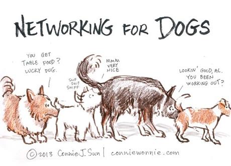 Le Réseau 3.0, la nouvelle manière de trouver des clients ! drawing networking for dogs w500