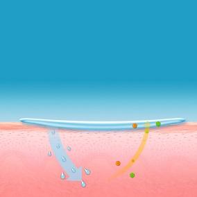 PLAIES DIABÉTIQUES: L’espoir d’un hydrogel à base tétrapeptides – Université de Lodz coupe_hydrotac_newdef_30 revu