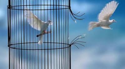 515° Et cette horreur là, personne ne l'a relevée ? 515° Et cette horreur là, personne ne l'a relevée ?