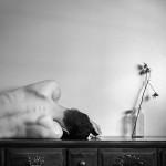 PHOTOGRAPHIE : Edward Honaker PHOTOGRAPHIE : Edward Honaker