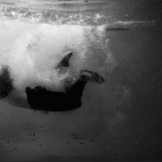 PHOTOGRAPHIE : Edward Honaker PHOTOGRAPHIE : Edward Honaker