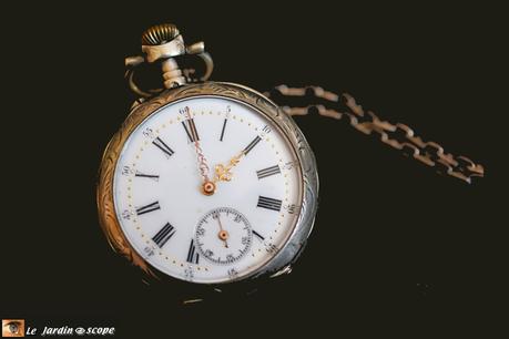 Calendrier lunaire pour jardiner en Octobre 2015 Montre-gousset