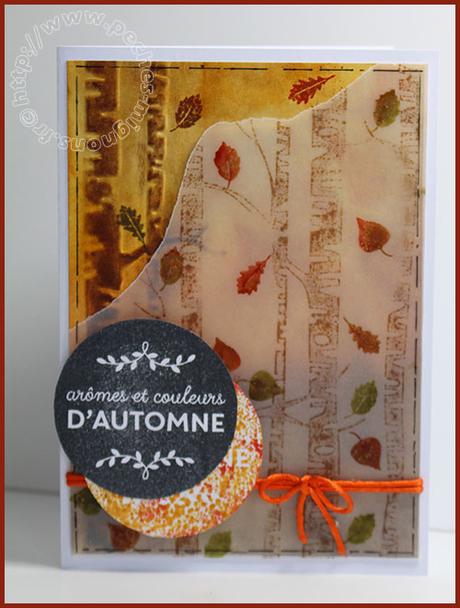 Carte Scrap #378 IMG_26371