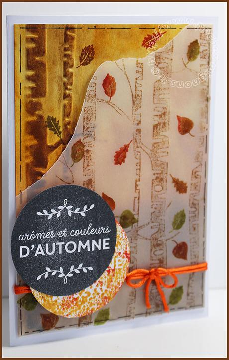 Carte Scrap #378 IMG_26391