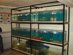 Clubgiraumont_2 Clubgiraumont_2