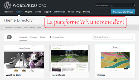 Un joli thème, oui mais gratuit ! Un joli thème, oui mais gratuit !