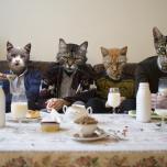 We are match Agenda des concerts parisiens à ne pas manquer : octobre 2015