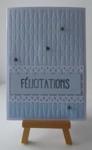 Carte Scrap #382 carte311