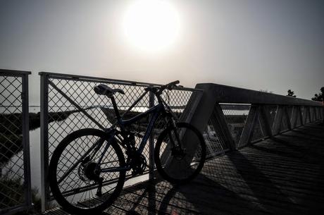 Sortie en vélo en Camargue en passant par Aigues-Mortes