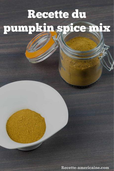 Le délicieux pumpkin spice mix