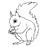 dessin de ecureuil