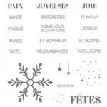 Saison des Fêtes… (carte scrap #393) 140446S