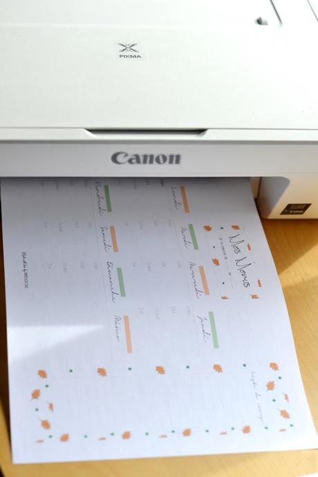 Planificateur de menus automnal et concours #1 DSC_0004