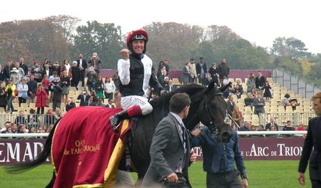 Arc 2015 : Golden Horn Arc 2015 : Golden Horn