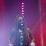 Tour Vibration – Découvrez les photos du concert à Tours SAM_2399