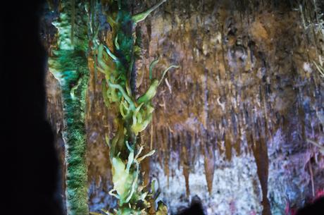 Majorque, un joyau dans la Méditerranée #2 – Majorque : joyau de la méditerranée