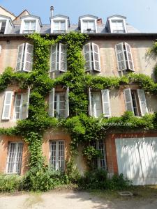 Rond de Sorcière #60 Rond de Sorciere 60 03