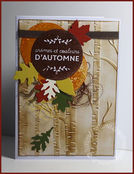 Carte Scrap #391 IMG_27011