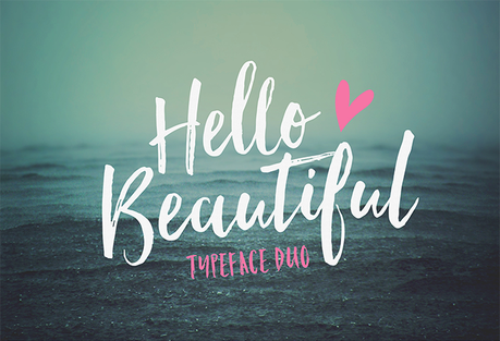 Hello Beautiful Font Duo + Swashes - Nicky Laatz