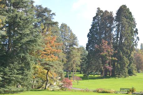 L’été indien à Genève DSC_4056aaaaaaaaa.jpg
