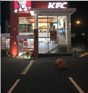 le mouvement des « poulets congelés » va-t-il changer la face du monde ? #frozenchook Capture