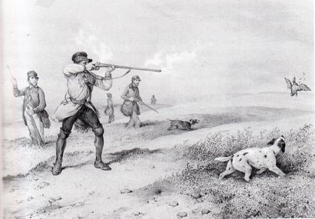 Samedi chasse à la caille