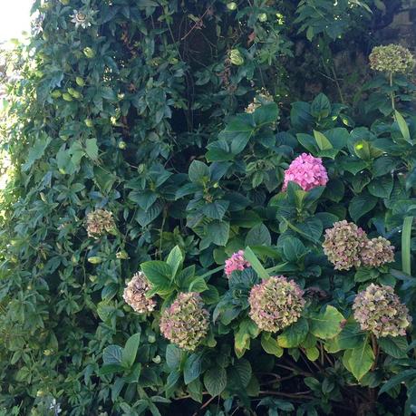 Hôtel L'Ecrin Honfleur Calvados Normandie 12047196_1135488903146432_5384366047385222113_n