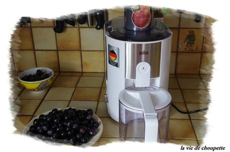 jus de raisins noirs-pomme maison-66