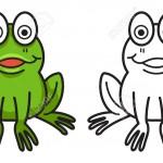 illustration de grenouille