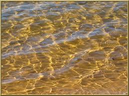 LA DELEGATION DU SERVICE PUBLIC DE L’ASSAINISSEMENT DES EAUX USEES DE MARSEILLAN : UN CAS D’ECOLE eauor