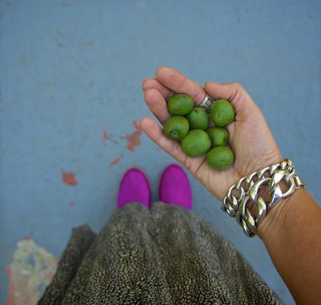 Mais quel est ce fruit ? Mais quel est ce fruit ?