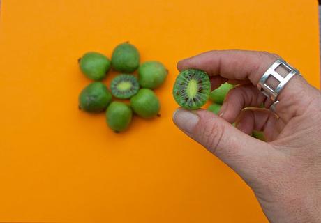 Mais quel est ce fruit ? Mais quel est ce fruit ?