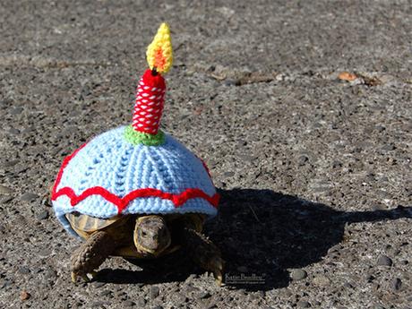 3 ANS • 3 YEARS anniversaire-katie bradley