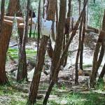 PHOTOGRAPHY : Michel Lamoller PHOTOGRAPHY : Michel Lamoller