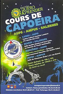 Découvrez et pratiquez la capoiera 242a03_6ccfb927e96b497086018d1ab9d63bf6.jpg_srb_p_217_323_75_22_0.50_1.20_0.00_jpg_srb