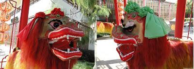 Festival végétarien 2015, Aujourd'hui c'est dragon Festival végétarien 2015, Aujourd'hui c'est dragon