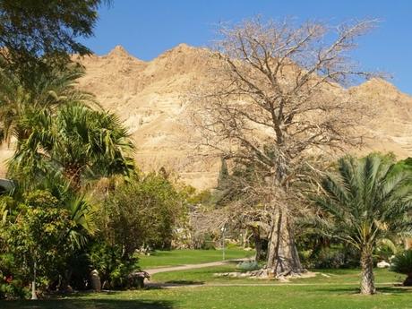 Lundi, partira – partira pas Lundi, partira – partira pas